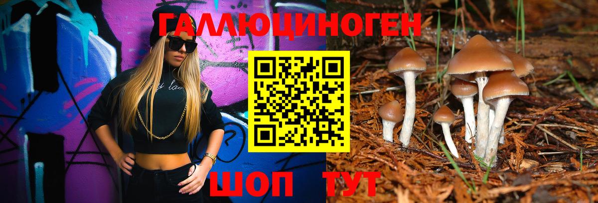 Галлюциногенные грибы ЛСД  Галлюциногенные грибы ЛСД  Ногинск  Вход с VPN 