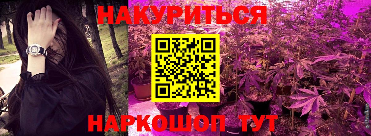 Шишки марихуана Amnesia Ногинск